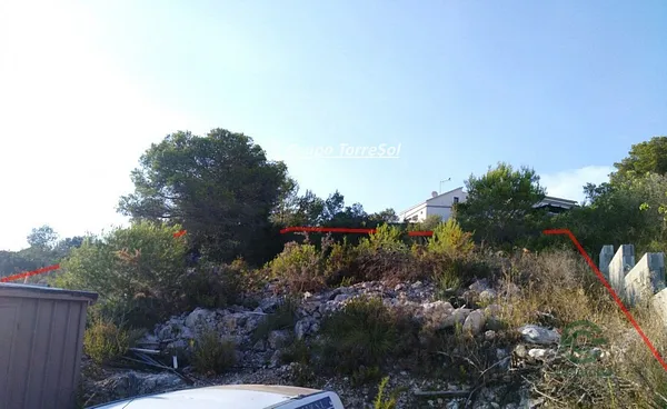 Spot image