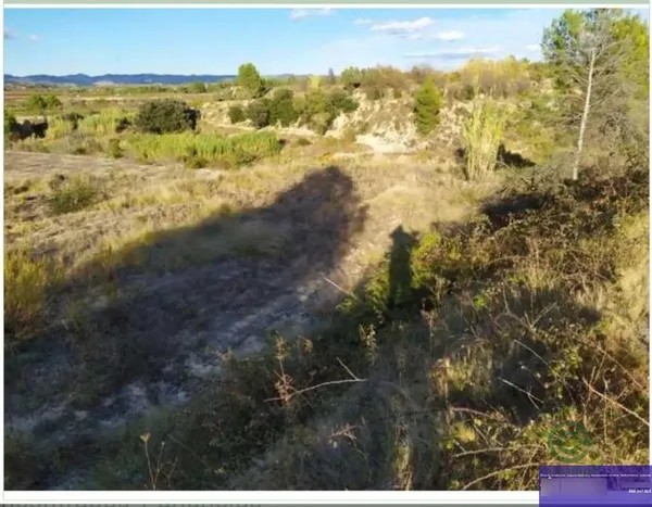 Finca agrícola de 0,58 ha en venta en Almoines, Valencia