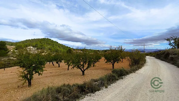 Agricultural property of 2,36 ha for sale in Alicante