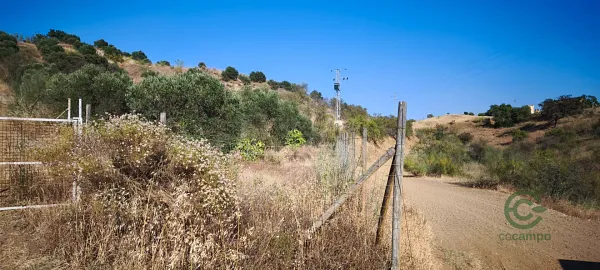 Spot image