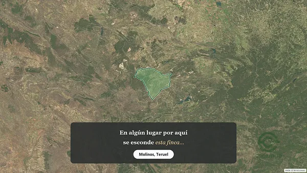 Spot image