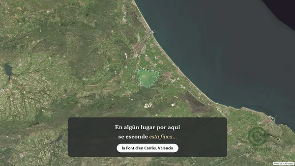 Spot image