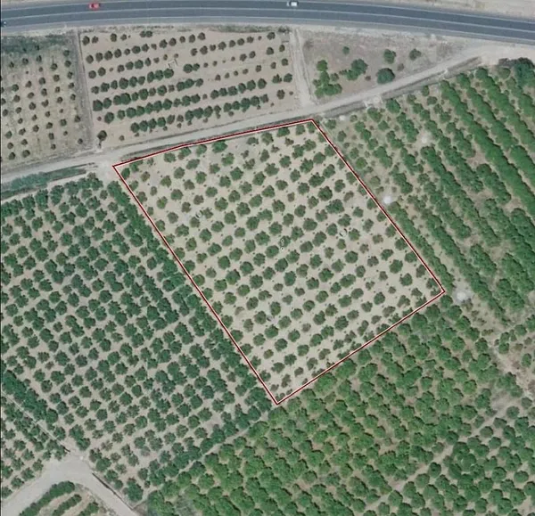 Finca agrícola de 0,6582 ha en venta en Alzira, Valencia