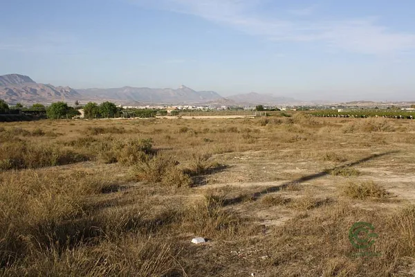 Spot image