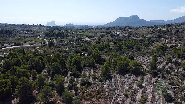 Finca rústica de 3,3673 ha en venta en Benissa, Alicante