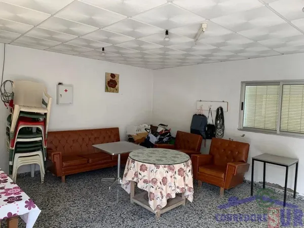 Spot image