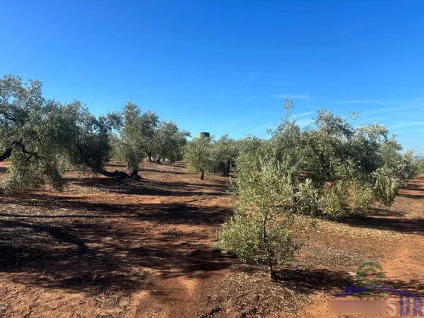 Finca rústica de 3 ha en venta en Montoro, Córdoba