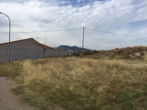 Spot image