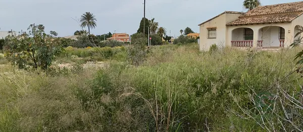 Spot image