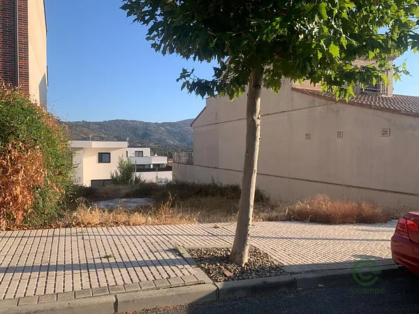 Spot image