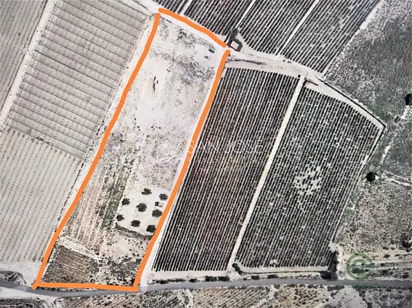 Finca agrícola de 1,1165 ha en venta en Novelda, Alicante