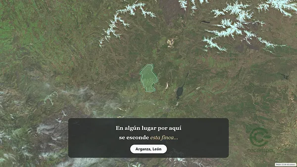 Spot image
