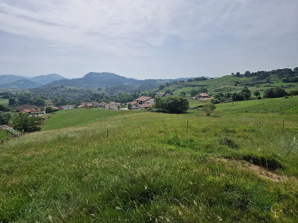 Spot image