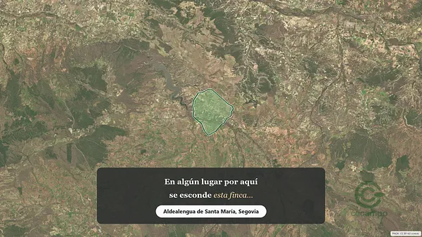 Spot image