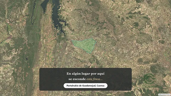 Spot image
