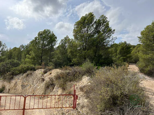 Finca rústica de 1,34 ha en venta en Alcora, l', Castellón