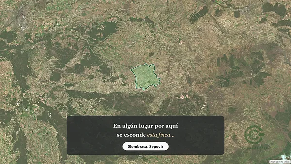 Spot image
