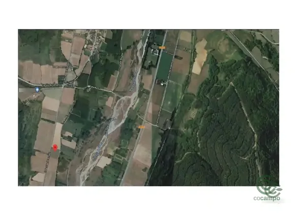 Spot image