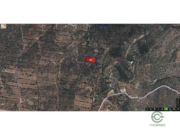 Spot image