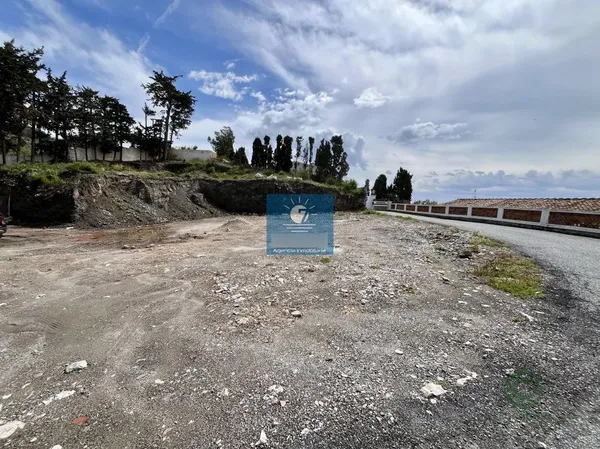 Spot image
