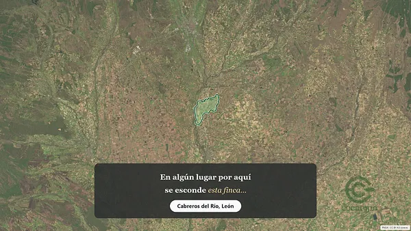Spot image