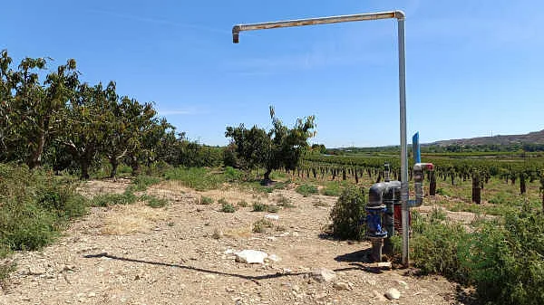 Finca rústica de 2,66 ha en venta en Mequinenza / Mequinensa, Zaragoza