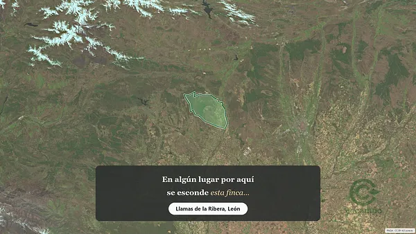 Spot image
