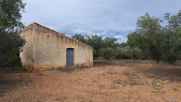 Spot image