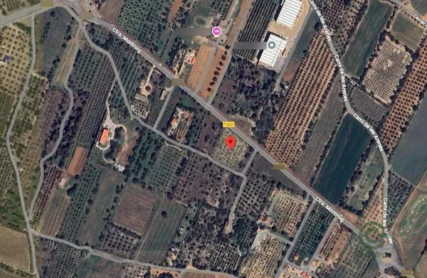 Spot image