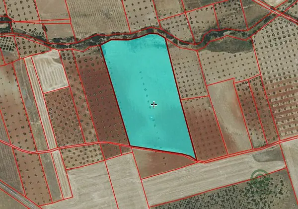 Spot image