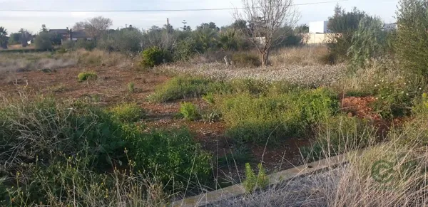 Finca agrícola de 0,15 ha en venta en Villarreal - vila-real, Castellon