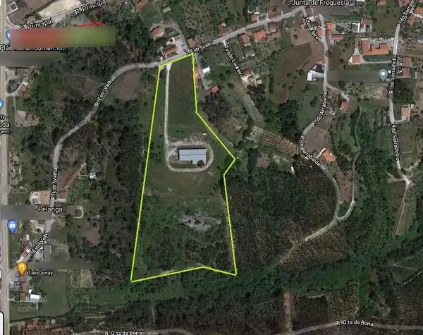 Spot image