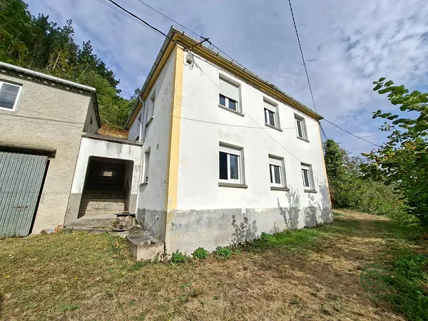 Spot image