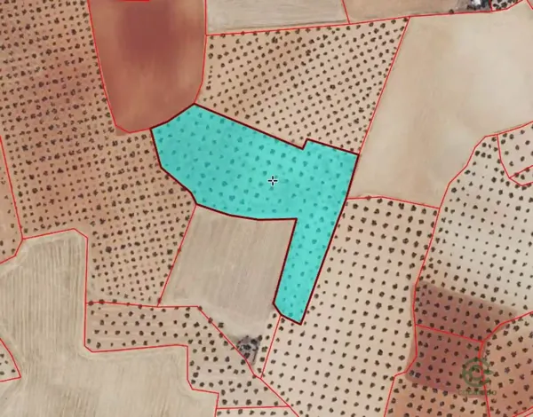 Spot image