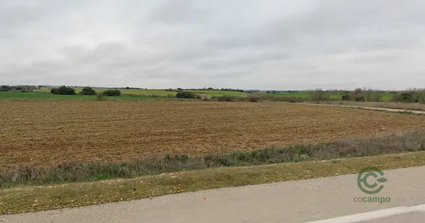 Spot image