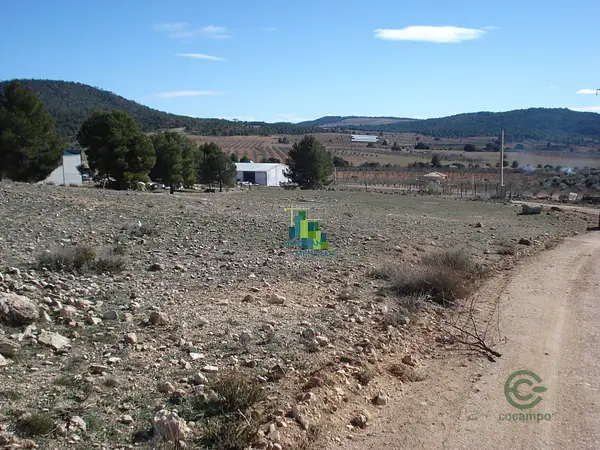 Spot image