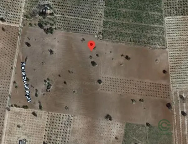 Spot image