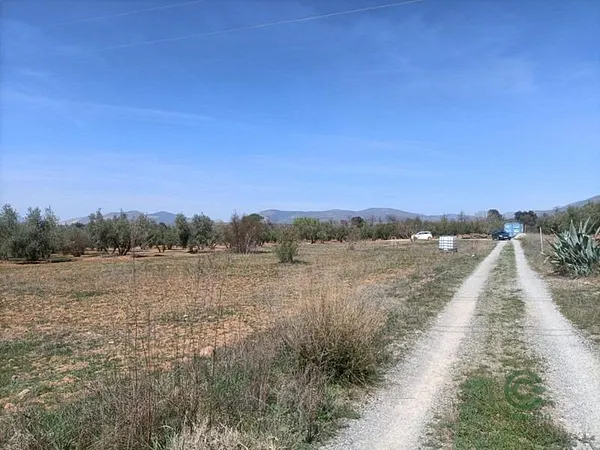 Spot image