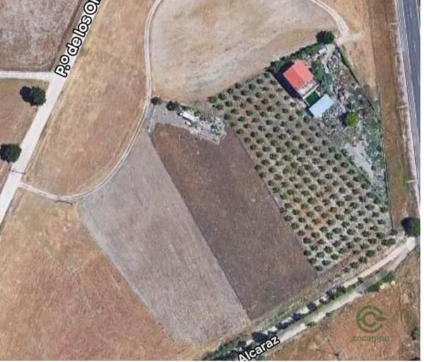 Spot image