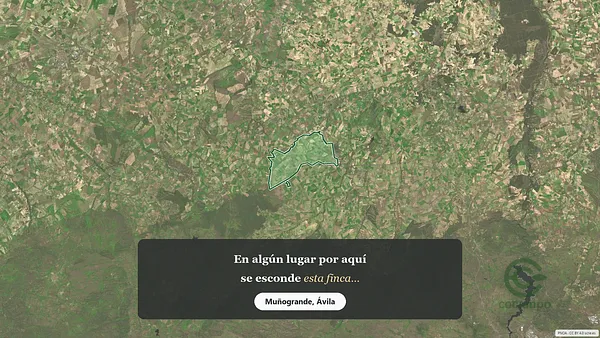 Spot image