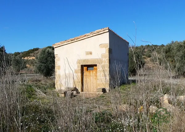 Spot image