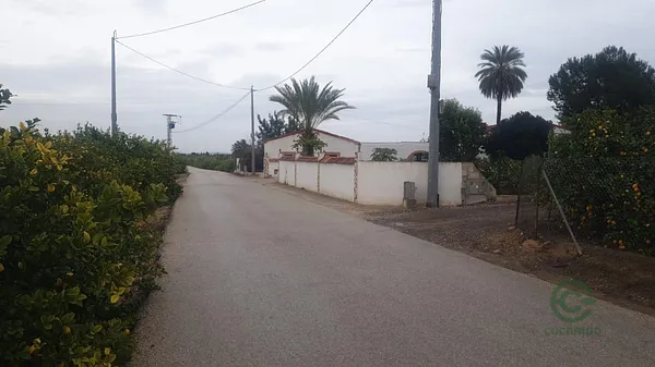 Finca agrícola de 3,4 ha en venta en San miguel de salinas, Alicante