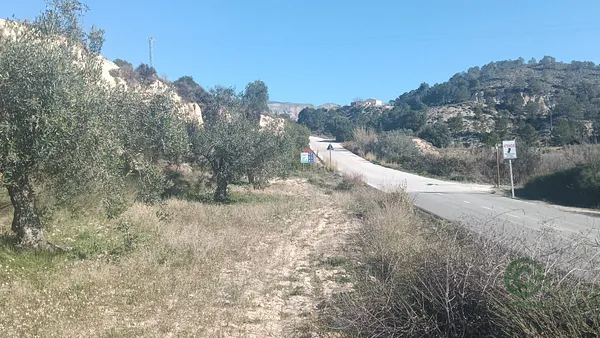Spot image