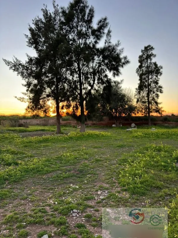Finca agrícola de 1 ha en venta en Bétera, Valencia