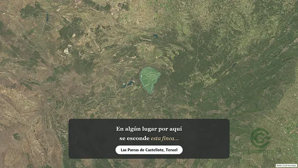 Spot image