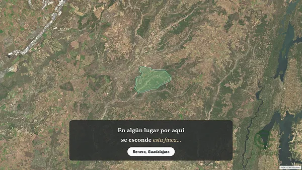 Spot image