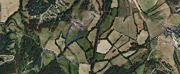 Spot image