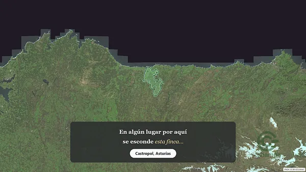 Spot image