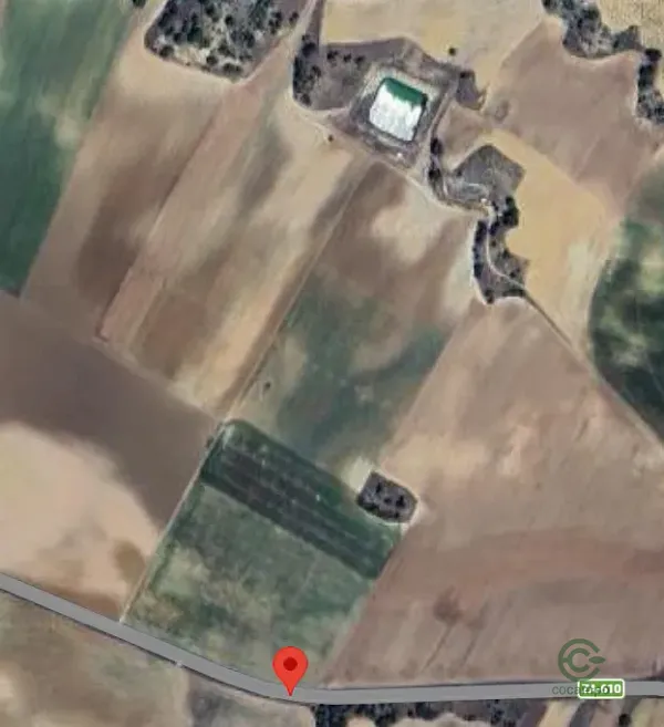 Spot image