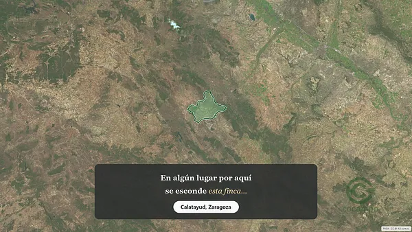 Spot image